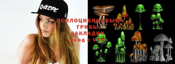 a pvp Алзамай
